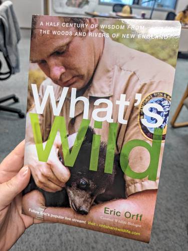 Eric Orff’s book, ‘What’s Wild.”