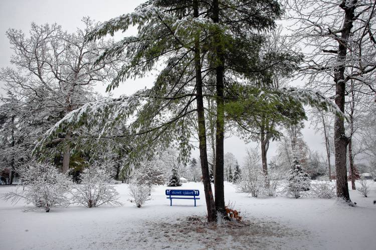 A bench sits among the snow covered trees in Rollins Park on Tuesday. Another storm with heavy rain is expected on Wednesday.