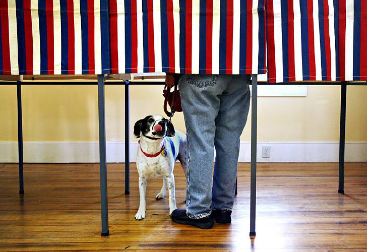 Lucy waits as her owner fills out her ballot at a voting booth in Concord's Ward 7 in 2010. 