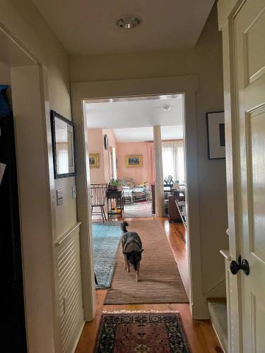 Delia Chollet ambles down the hallway toward the kitchen. 