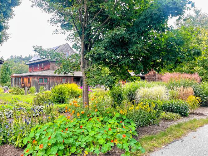 Gardens in the entrance to Nubanusit Neighborhood & Farm. 