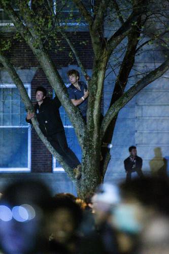 Spectators watch from a tree in front of McNutt Hall in Hanover, N.H., as students protesting the Israel-Hamas War are arrested on the Dartmouth College Green on Wednesday, May 1, 2024. (Valley News - James M. Patterson) Copyright Valley News. May not be reprinted or used online without permission. Send requests to permission@vnews.com.