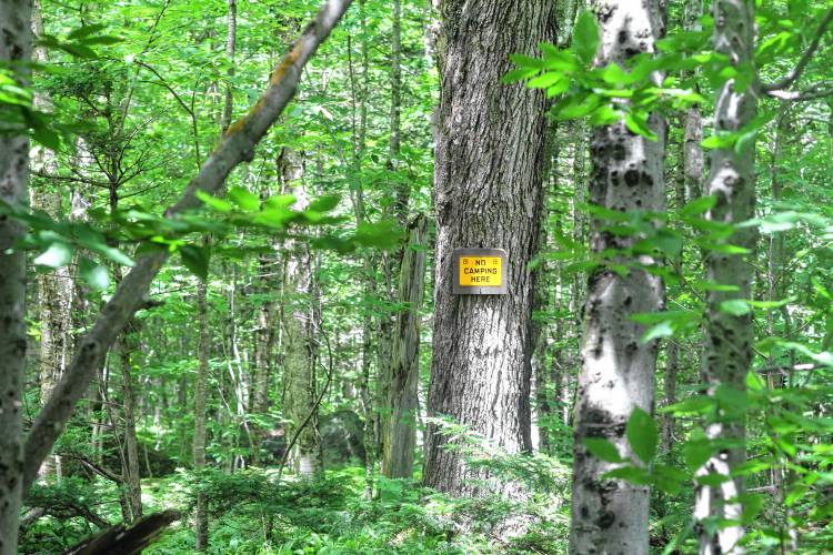 Only about half of the search and rescue requests that New Hampshire Fish and Game receives warrant a search party.