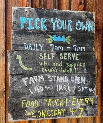 The pick-your-own sign for blueberries at Fresh Start Farms in Boscawen