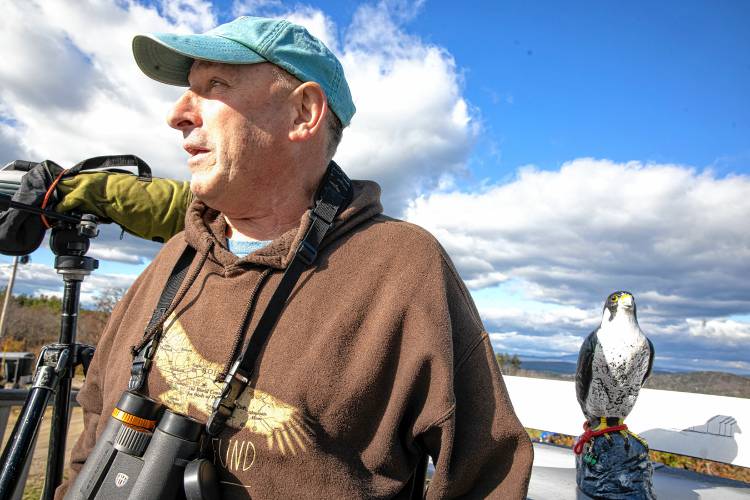 Gulf War veteran Robert Vallieres looks out for raptors on the viewing deck at Carter Hill Orchards on Thursday. Vallieres helps other veterans discover the joy of bird watching.