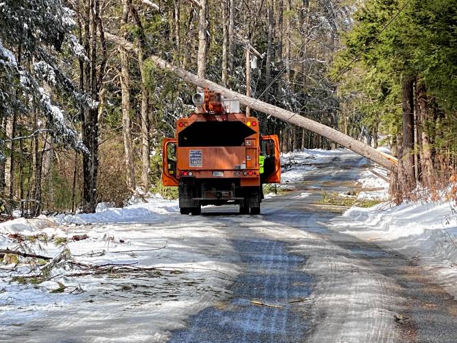 A tree-cutting crew in Hopkinton waits for Eversource to cut the power before removing a tree hung up in the wires.