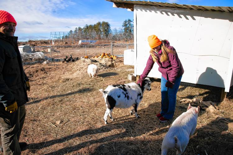 Starting Feb. 1, James Meinecke and Rebecca McWilliams’ Lewis Farm in Concord can accept food waste after New Hampshire’s new statewide food waste ban goes into effect. Lewis Farm is gearing up to handle an influx of commercial food scraps.