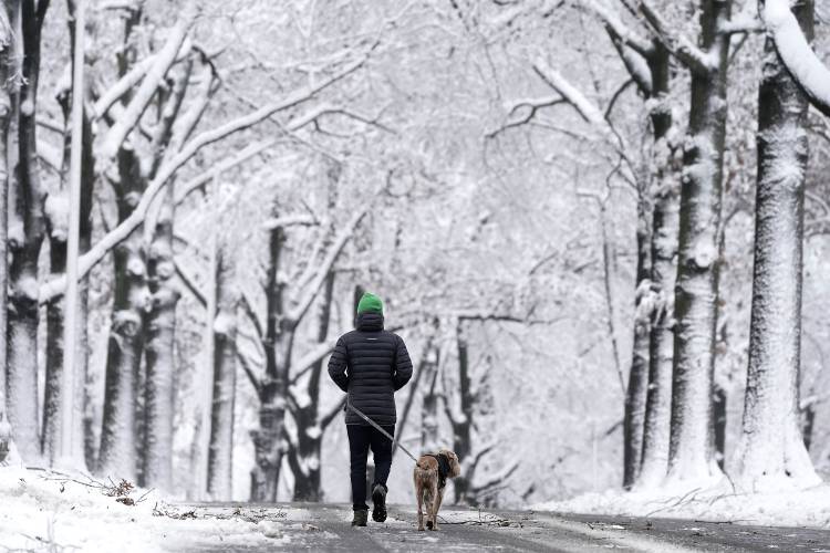 Chris Weber takes his dog Finnigan for a walk after a winter storm moved through the region Tuesday, Jan. 9, 2024, in Leawood, Kan. (AP Photo/Charlie Riedel)
