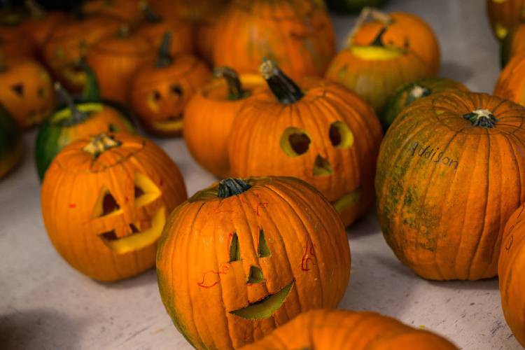 Some of the carved pumpkins that students created at the Pleasant Street School in Laconia in preparation of this weekend's Pumpkin Festival. 