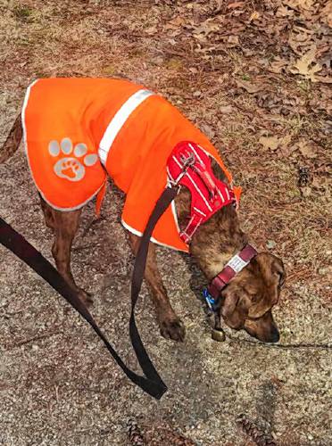 Zoe, wearing a rescue jacket to keep her warm, owes her life to Taury Anderson.