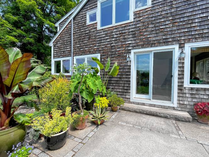 The back patio houses Laura Trowbridge’s collection of unusual houseplants. 