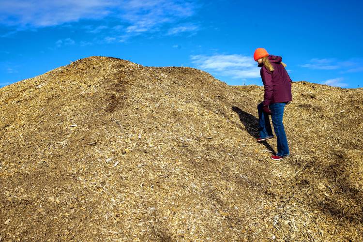 Rebecca McWilliams climbs up a pile of woodchips overlooking the area where the family will be accepting food waste at Lewis Fam in Concord. Starting Feb. 1, James Meinecke and Rebecca McWilliams’ farm can accept food waste after New Hampshireâs new statewide food waste ban goes into effect. Lewis Farm is gearing up to handle an influx of commercial food scraps.