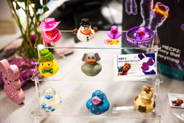 Some of the ducks in Izzie Boom’s collection that are for sale.