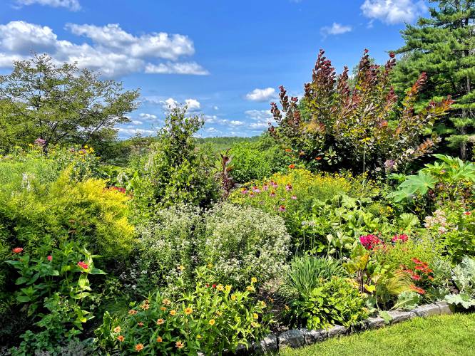 Landscape designer Laura Trowbridge’s perennial borders looking west toward Monadnock. 