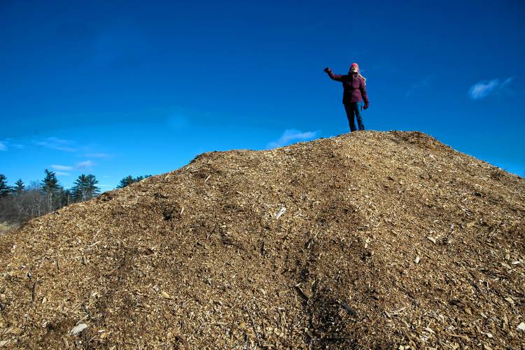 Rebecca McWilliams stands on a pile of woodchips overlooking the area where the family will be accepting food waste at Lewis Farm in Concord.