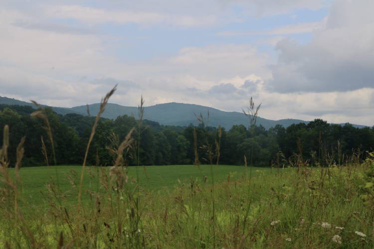 The current use tax policy is designed to protect open land from development, such as this field in Lyme. The current use tax policy is designed to protect open land from development, such as this field in Lyme.
