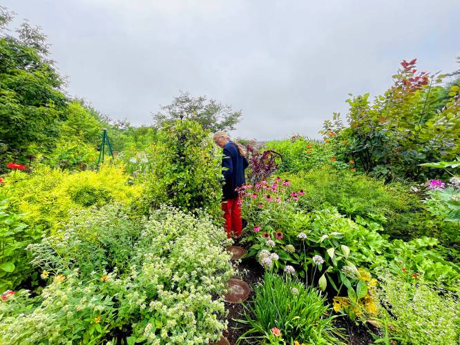 Garden designer Laura Trowbridge disappearing down the path to her “secret garden.”