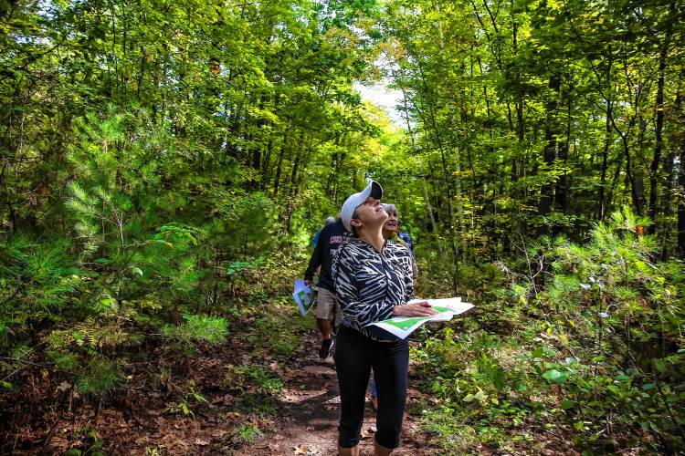 Ward Five City Councilor Stacey Brown looks up at the apron of trees along the path where the proposed middle school would be located behind Mill Brook and Broken Ground school on Saturday, September 28, 2024.