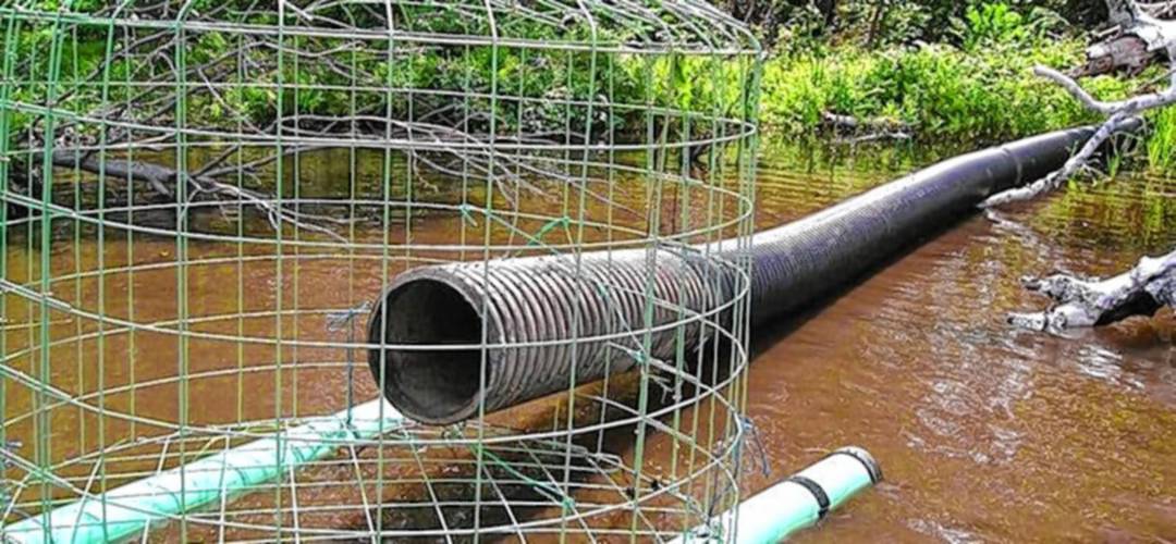 Example of a pond leveler.