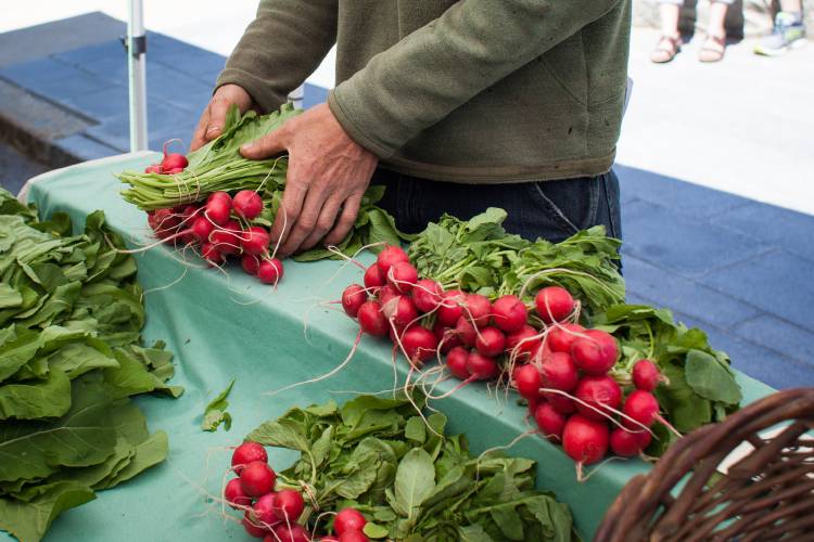Sam Bower of Warner sells a couple bunches of radishes and some arugula from the Kearsarge Gore Farm stand at the Concord Farmers Market in downtown Concord on Saturday, May 5, 2018. (ELIZABETH FRANTZ / Monitor staff)