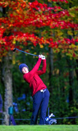 Zach Nelson hits his drive from the first hole at Canterbury Woods Country Club in the top group of the Division I golf team championship on Tuesday.