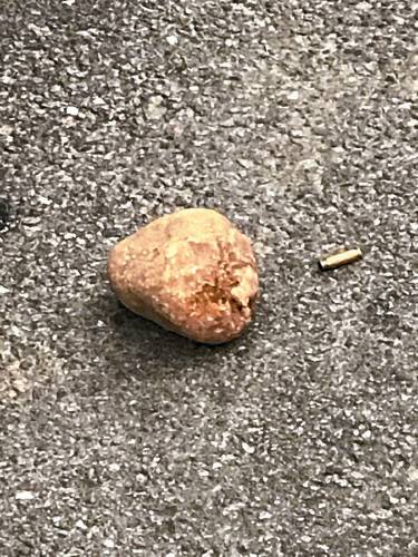 Bullet casings could be seen in the parking lot of Citizens Bank in downtown Pittsfield Saturday afternoon.