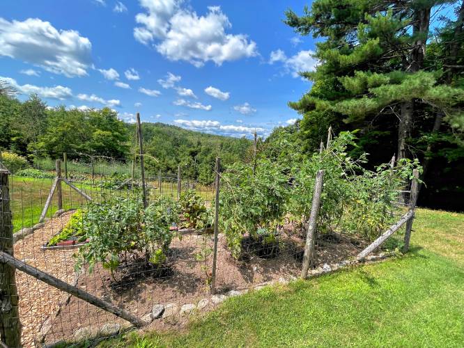 Laura and Jamie Trowbridge’s vegetable garden overlooking the view to the west. 