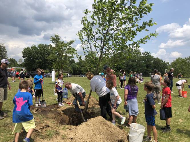 The Division of Forests and Lands’ Schoolyard Canopy Enhancement Program is in its second year granting trees to school campuses that need more greenery. Pictured is Abbot-Downing School in Concord in June 2023. 