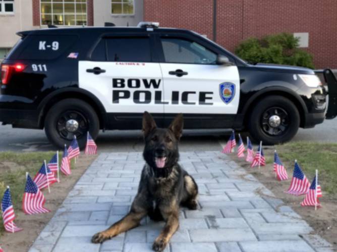 K9 Boris of the Bow Police Department
