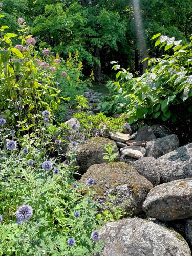Some of the original 18th-century stone walls incorporated into Laura Trowbridge’s garden. 