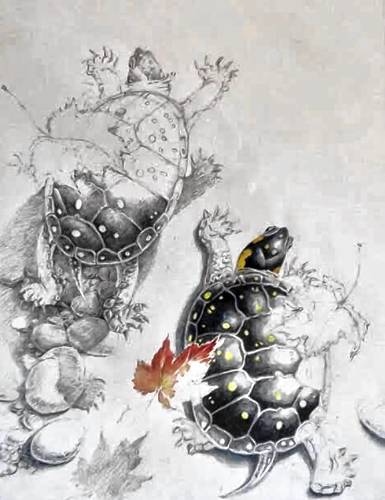 “Spotted Turtles in a Migration Stream,” created by David Carroll. 