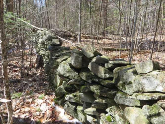There are hundreds of stone walls in Lyme. 