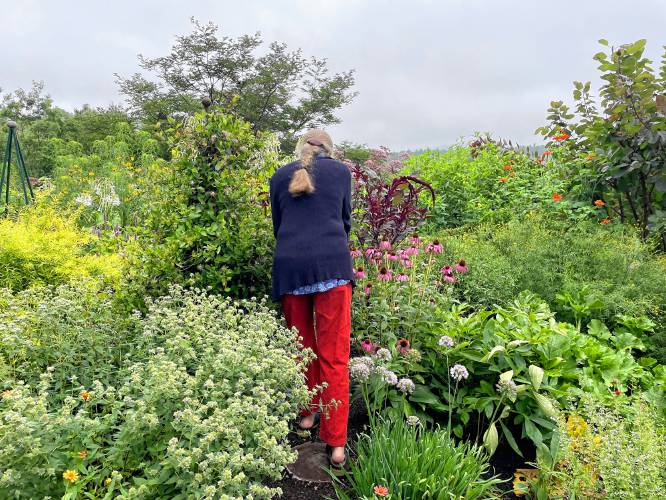 Laura Trowbridge heads down the path to her “secret garden.” 