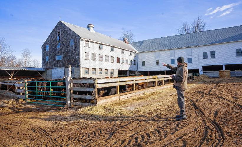 Jeff Moore of Windswept Maples Farm in Loudon passes by the open air feeding trough for his cows on Saturday, March 22, 2025. Moore was planning on building a south facing pitched roof over the open air trough for solar collection and protection from the elements for his herd.