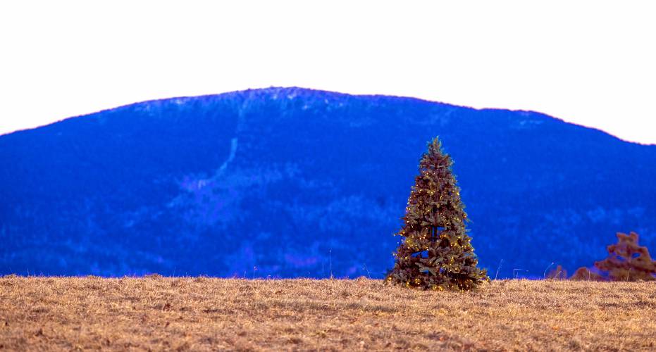 The Christmas tree on top of the New London hill that David Cleveland has been lighting since 1987, with Mount Kearsarge in the distance.