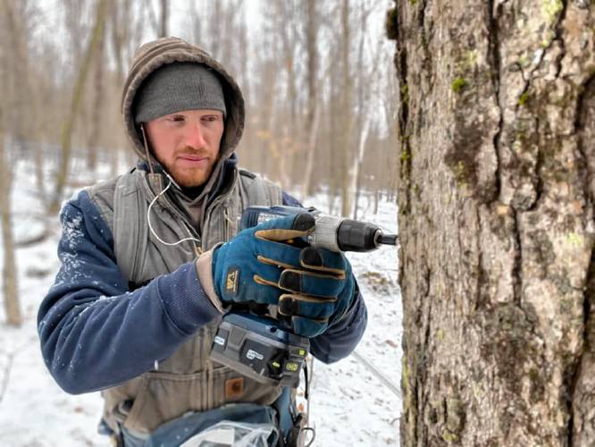 Jeff Moore frills a hole in a maple tree out in the woods at the Windswept Maples Farm in Loudon.