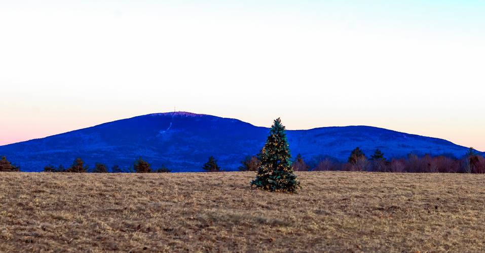 The Christmas tree on top of the hill in New London that David Cleveland has been lighting since 1987. Mount Kearsarge can be seen in the backround.