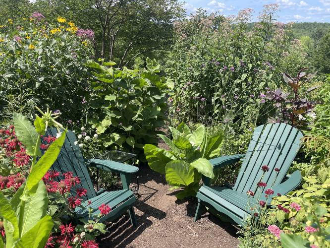 The secret garden. 