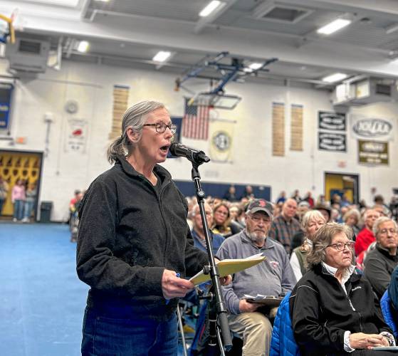 Newbury resident Claire Ketteler speaks out in favor of the budget cap proposal she brought at the Kearsarge Regional High School gym on Jan. 4.