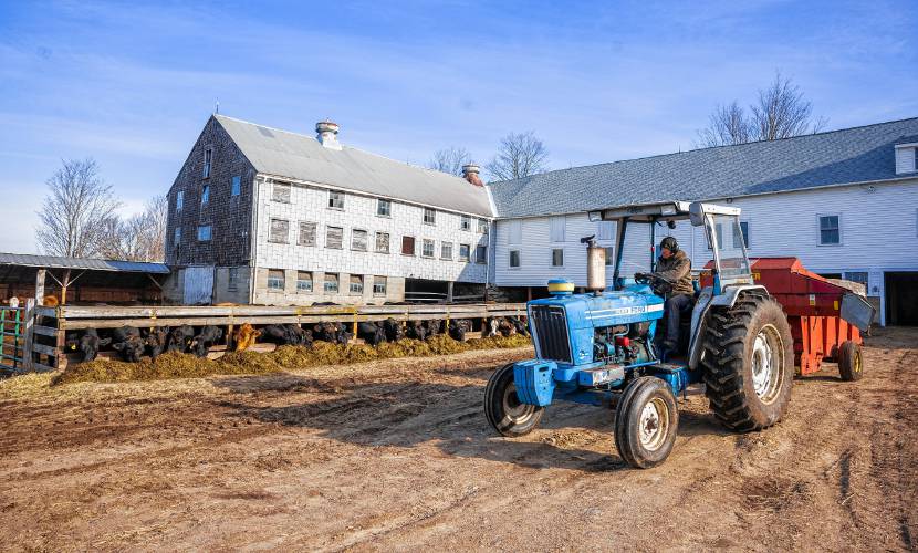  Jeff Moore of Windswept Maples Farm in Loudon passes by the open air feeding trough for his cows on Saturday, March22, 2025. Moore was planning on building a south facing pitched roof to place solar panels on for both collection and protection from the elements for his herd. 