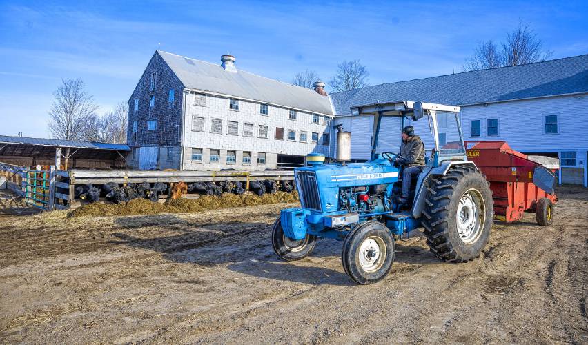 Jeff Moore of Windswept Maples Farm in Loudon passes by the open air feeding trough for his cows on Saturday, March22, 2025. Moore was planning on building a south facing pitched roof over the open air trough for solar collection and protection from the elements for his herd.