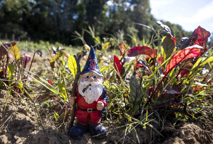 A gnome on the grounds of the Merrimack County Farm in Boscawen.
