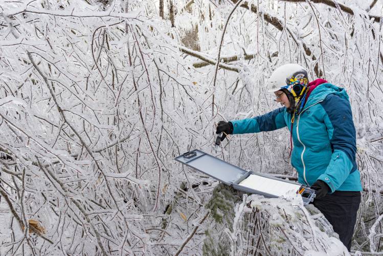 Ice Storm Experiment at Hubbard Brook Experimental Forest, 2016 and 2017. 