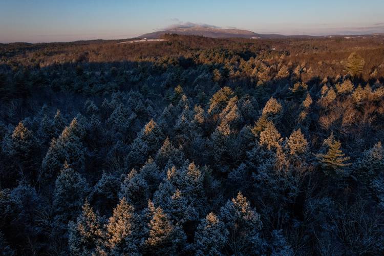 Two hikers rescued from Mount Monadnock after falling into brook