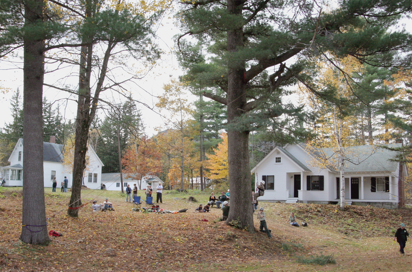 As U.S. Forest Service reexamines closure plan, advocates say there is ‘no substitute’ for research at Bartlett Experimental Forest